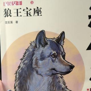 狼王宝座之紫葡萄临危受命