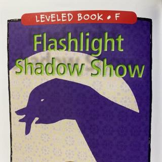 RAZ LevelF 206 - Flashlight Shadow Show