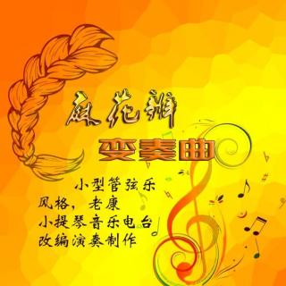 麻花辫变奏曲（老康改编版）