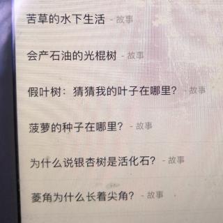 苦草光棍树假叶树菠萝银杏叶