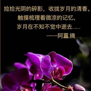 向阳花老师纠音1