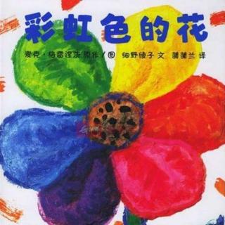 春节特别节目-彩虹色的花