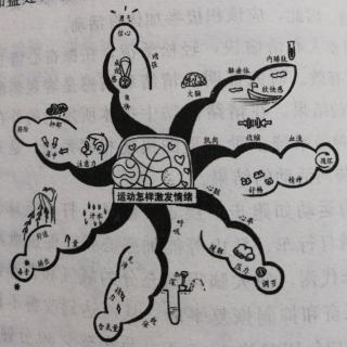 4-1-3运动能让你的情绪high起来