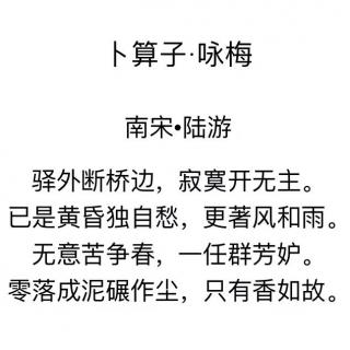 卜算子咏梅