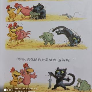 我爱小黑猫 2