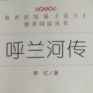 《呼兰河传》第五章第五节