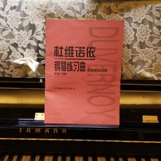 杜维诺依-第11首-钢琴版