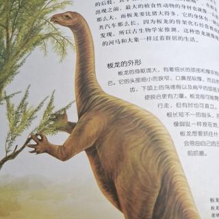 恐龙大百科——板龙