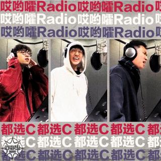 都选C-哎哟嚯Radio（翻自 赵英俊）