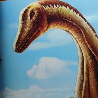 恐龙全知道--恐龙足迹⑥梁龙