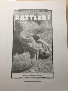 沛霖诵读｜英文-Rattlers，2021.02.15