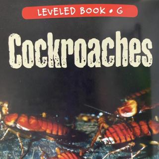 RAZ LevelG 205 -Cockroaches