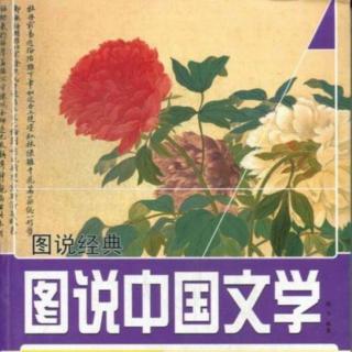 《中国文学的魅力》  作者 梁喜强