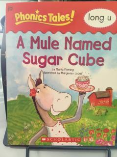 A Mule Named Sugar Cube