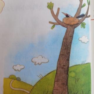 第六课《树和喜鹊》