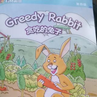 Greedy  Rabbit