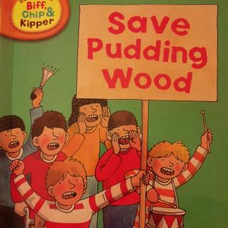 Save Pudding Wood