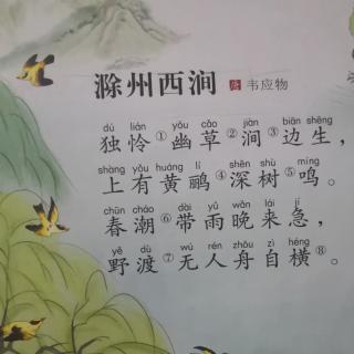 滁州西涧