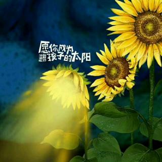 理性为刚，感性为表；完整世界，阴阳转化