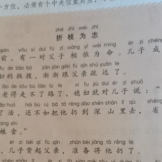 知识窗《折枝为志》