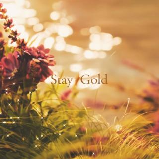 『钢琴』Stay Gold