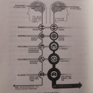 《终身成长》第8章（3）