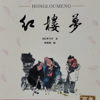 427 红楼梦（十六）痴宝玉尽诉肺腑02