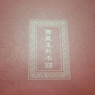 第六章：演化、业与轮回