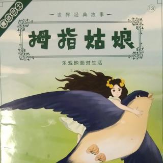 绘本《拇指姑娘》