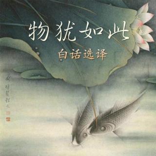 187 龟济将军