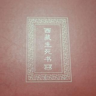 第七章：中阴与其他实相