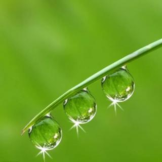 《二十四节气》2.雨水