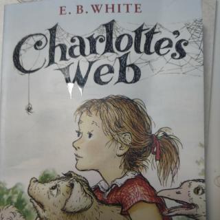 Charlotte's web 14