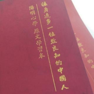 《传习录》35薛侃录  “主一”是一心在天理上