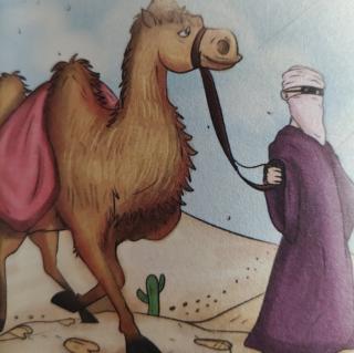 骆驼与人
