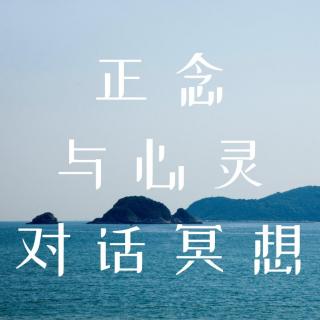 9. 正念与心灵对话冥想--与当下结盟