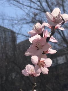 《从今天起》【碑林路人】