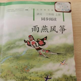 雨燕风筝112～114页