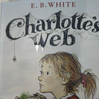 Charlotte'web18