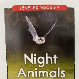 RAZ LevelF 308 - Night Animals