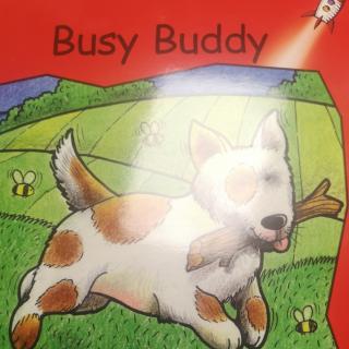 Harry 英文13Busy Buddy