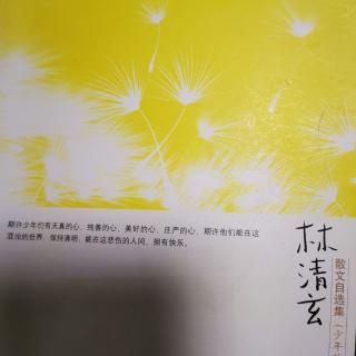 《林清玄散文自选集》卷四53.水晶石与白莲花