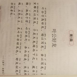 叶公好龙