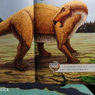 恐龙全知道--恐龙时代⑥禽龙🐉
