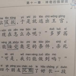 殷老师亲子朗读《神奇翡翠城》