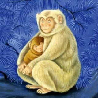 Aaron妈咪讲故事啦~小猴和最爱的奶奶