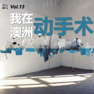 澳洲不2台 - Vol.13 #我在澳洲动手术# - 咔嚓一刀