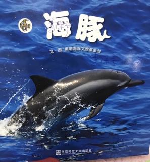 海豚～糖宝讲故事