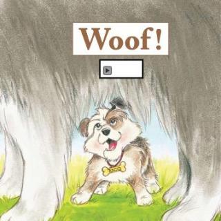 【readii666】海尼曼G1 D6 英英拓展 12  Woof!