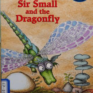 Sir small and the dragonfly